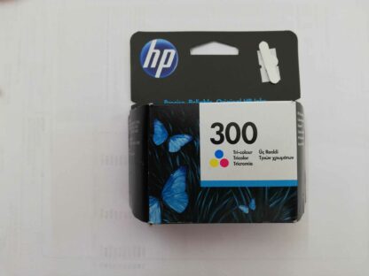 HP Originale 300 Colore